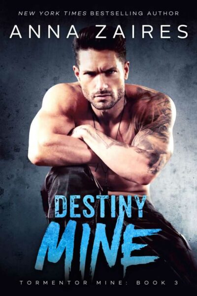 Destiny Mine (Tormentor Mine: Book 3)