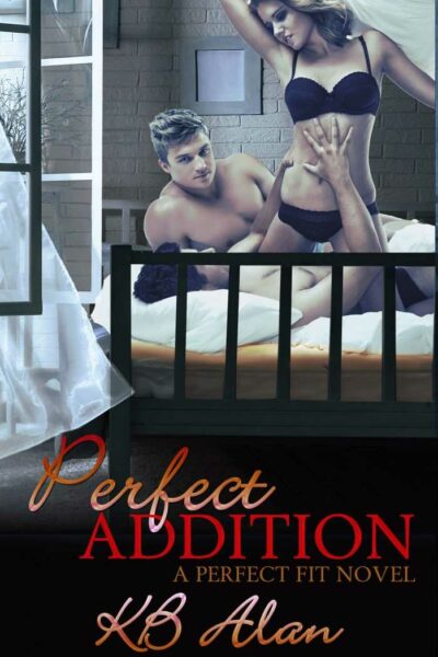 Perfect Addition (Perfect Fit Book 3)