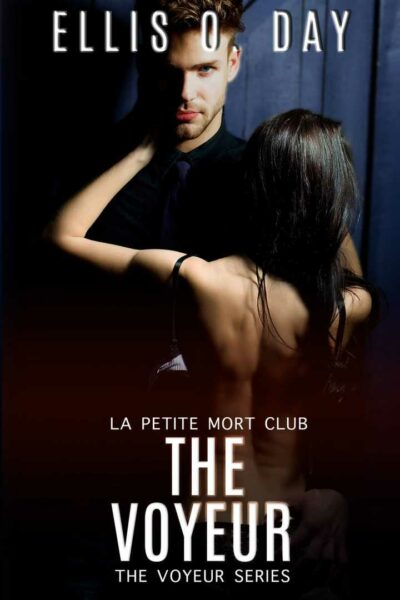 The Voyeur (The Voyeur Series, book 1)