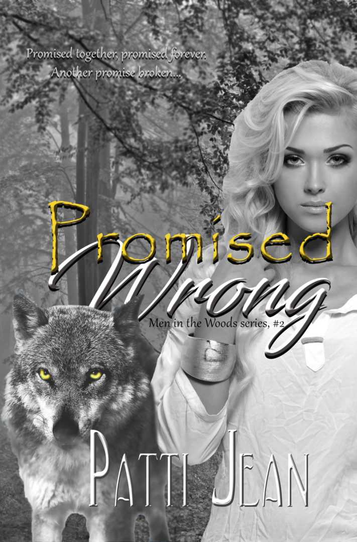 Promised Wrong (Men in the Woods, #2)