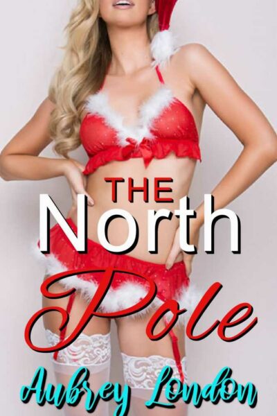 The North Pole