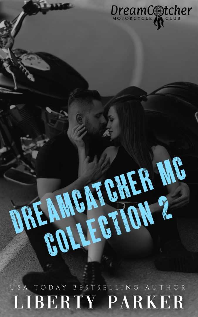 DreamCatcher MC Collection 2 :DreamCatcher MC Books 4-6