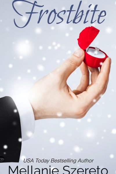 Frostbite: A Seasoned Holiday Romance