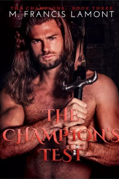 The Champion's Test (The Champions Series Book 3)
