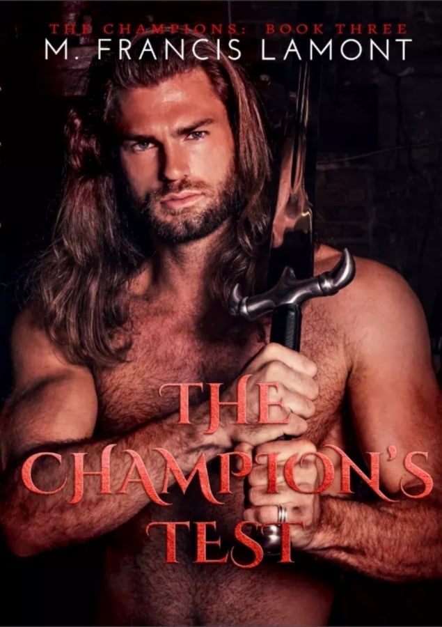 The Champion's Test (The Champions Series Book 3)
