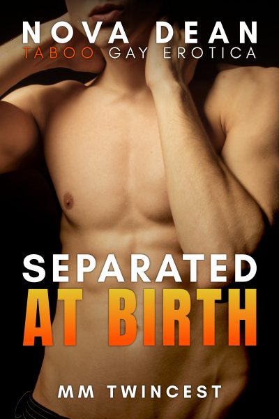 Separated at Birth: MM Twincest | Taboo Gay Erotica: Twins