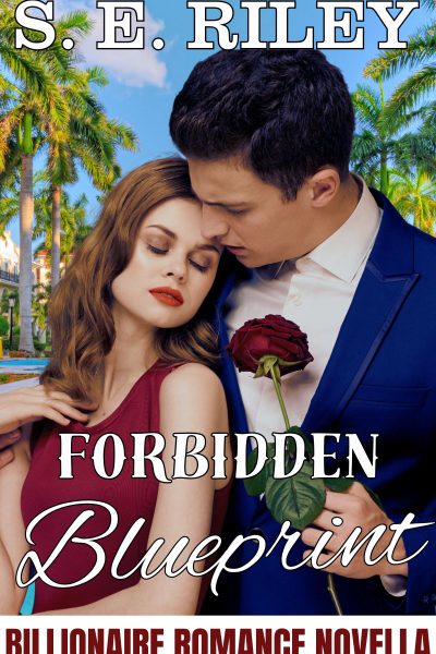 Forbidden Blueprint: A Billionaire Romance Novella