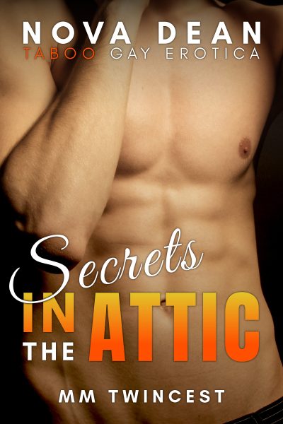Secrets in the Attic: MM Twincest | Taboo Gay Erotica