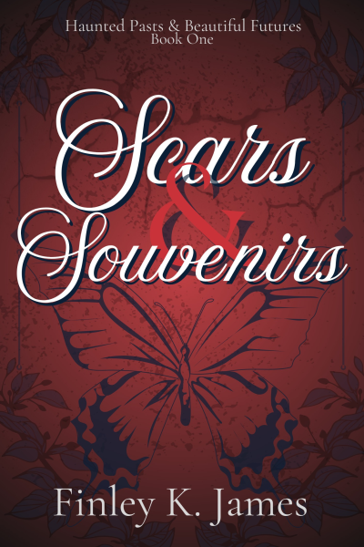 Scars & Souvenirs: Max's. Journey