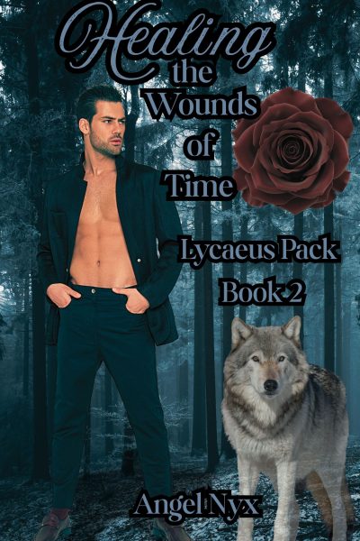 Healing the Wounds of Time: Lycaeus Pack Book 2