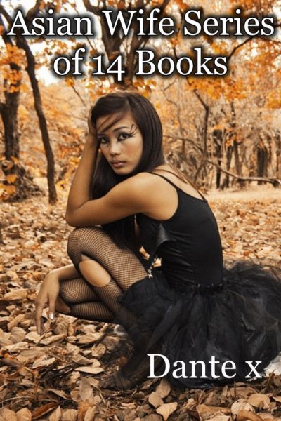 Asian wife series of 14 books
