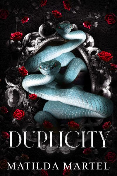 Duplicity