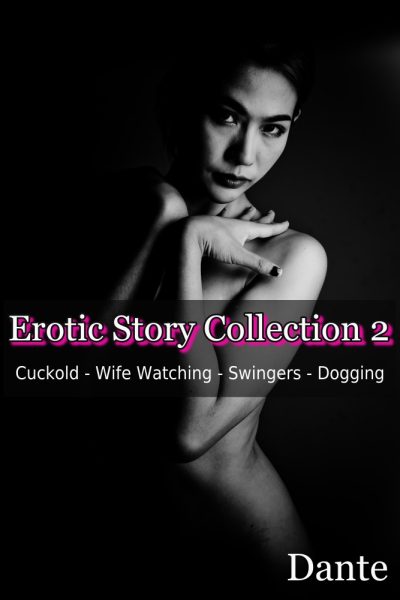 Erotic Story Collection 2