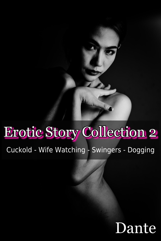 Erotic Story Collection 2