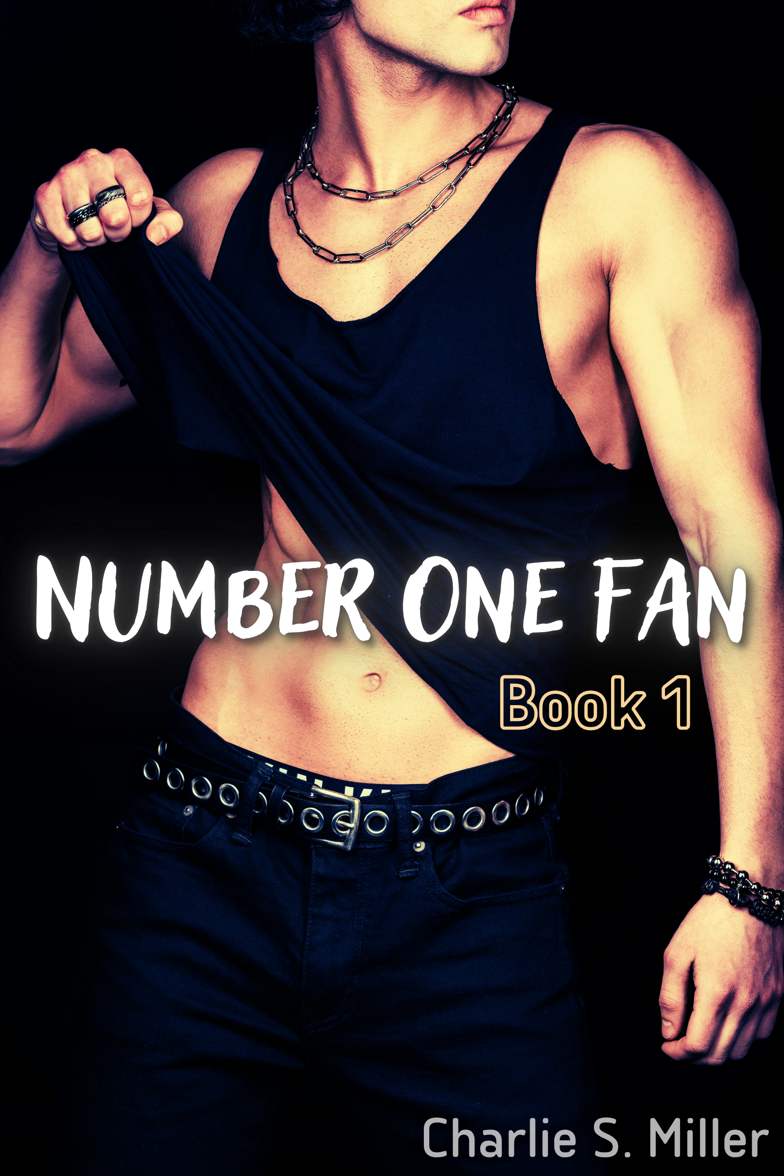 Number One Fan: Book 1